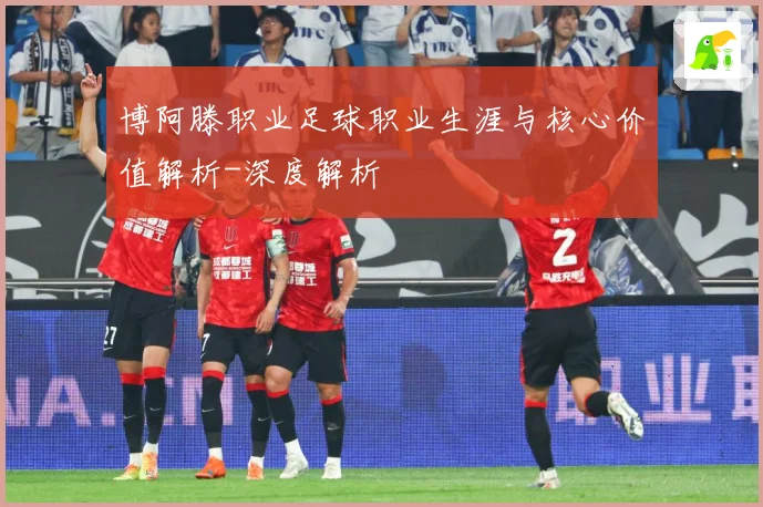 博阿滕职业足球职业生涯与核心价值解析-深度解析
